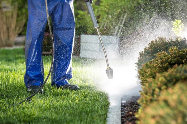 Curb Cleaning in Niles