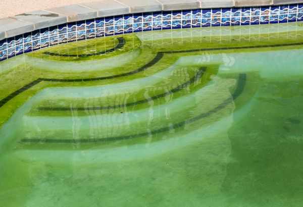 Pool Deck Algae Removal in Niles