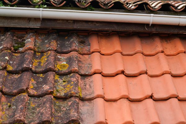 Industrial Roof Cleaning in Niles