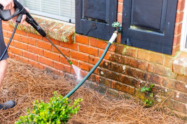 Brickwork Cleaning in Niles