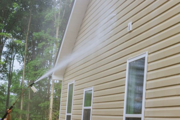 Home Siding Cleaning in Niles