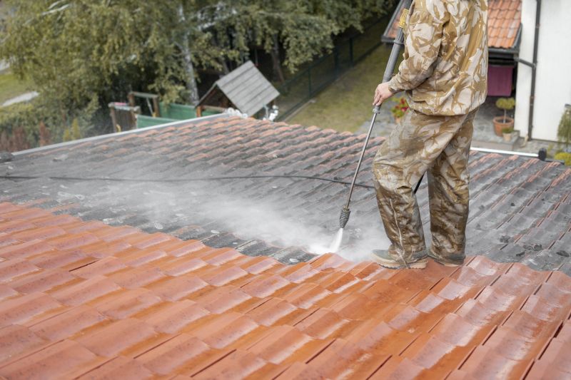 Roofline Cleaning